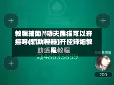 教程辅助“功夫熊猫可以开挂吗(辅助神器)开挂详细教程-第2张图片
