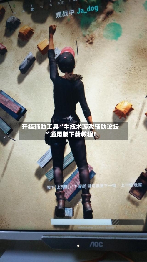 开挂辅助工具“牛技术游戏辅助论坛”通用版下载教程！