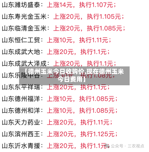 【德州玉米今日收购价,现在德州玉米今日费用】