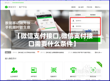 【微信支付接口,微信支付接口需要什么条件】