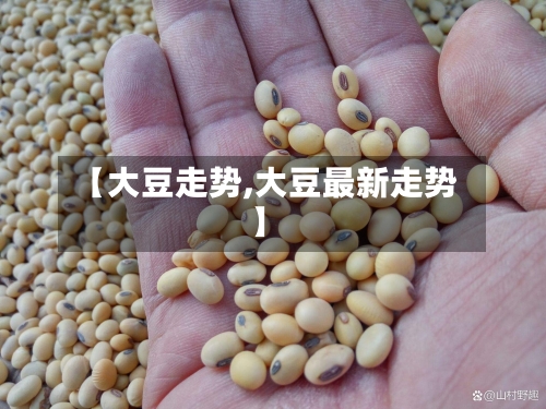 【大豆走势,大豆最新走势】-第2张图片