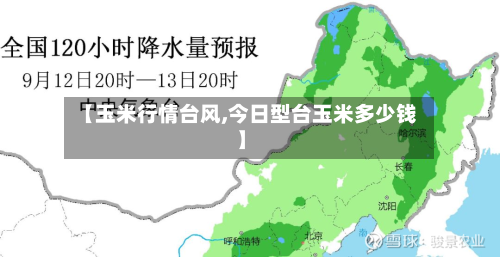【玉米行情台风,今日型台玉米多少钱】