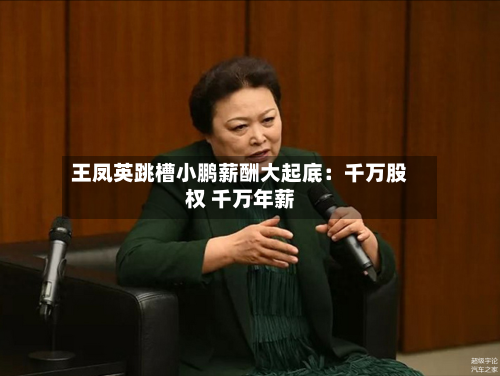 王凤英跳槽小鹏薪酬大起底:千万股权 千万年薪-第2张图片