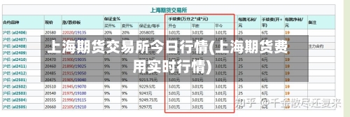 上海期货交易所今日行情(上海期货费用实时行情)