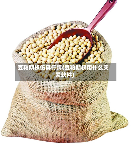 豆粕期权仿真行情(豆粕期权用什么交易软件)-第3张图片