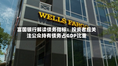 富国银行解读债务指标：投资者应关注公众持有债务占GDP比重-第3张图片