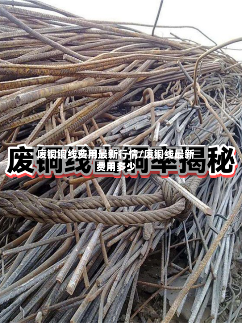 废铜铜线费用最新行情/废铜线最新费用多少-第2张图片