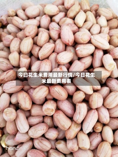 今曰花生米费用最新行情/今日花生米最新费用表-第2张图片