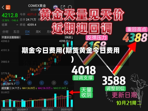 期金今日费用(期货黄金今日费用)