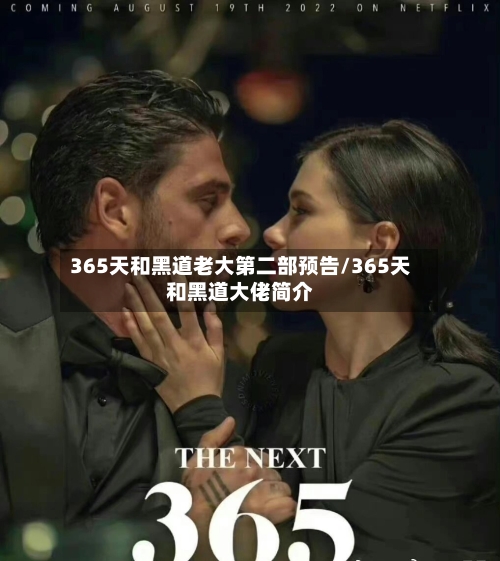 365天和黑道老大第二部预告/365天和黑道大佬简介-第2张图片