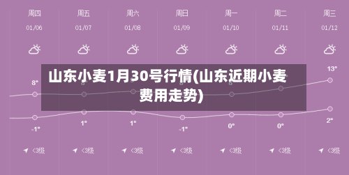 山东小麦1月30号行情(山东近期小麦费用走势)-第2张图片