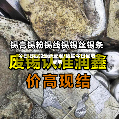 今日旧铅的最新费用/废铅今日回收费用