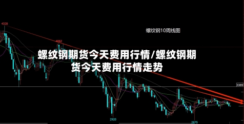 螺纹钢期货今天费用行情/螺纹钢期货今天费用行情走势-第3张图片