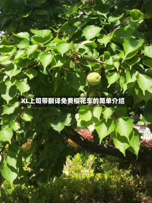 XL上司带翻译免费樱花车的简单介绍