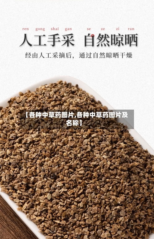 【各种中草药图片,各种中草药图片及名称】