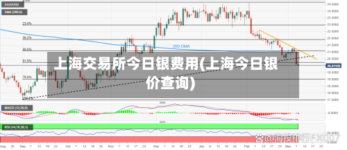 上海交易所今日银费用(上海今日银价查询)