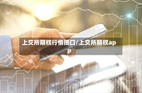 上交所期权行情接口/上交所期权app