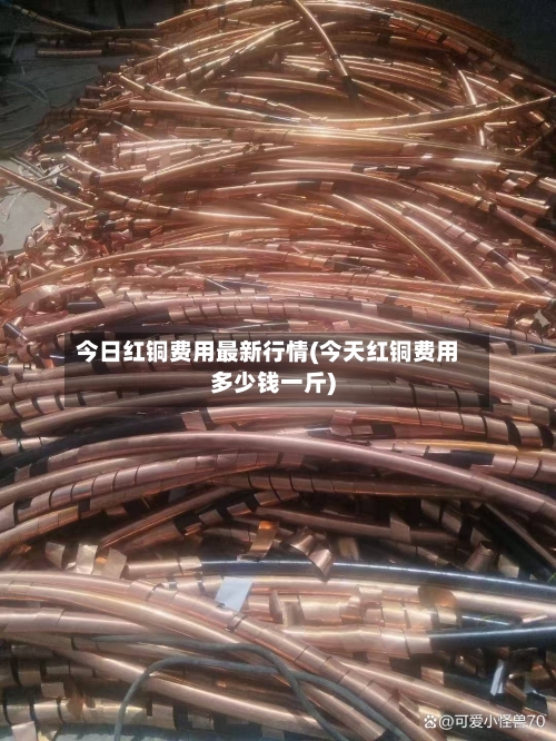 今日红铜费用最新行情(今天红铜费用多少钱一斤)-第2张图片