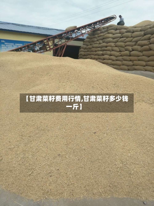 【甘肃菜籽费用行情,甘肃菜籽多少钱一斤】