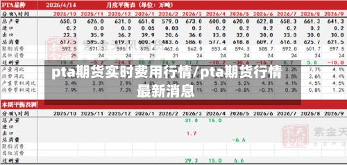 pta期货实时费用行情/pta期货行情最新消息-第2张图片