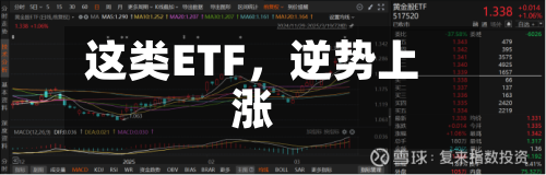 这类ETF	，逆势上涨-第2张图片