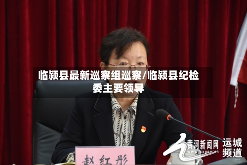 临颍县最新巡察组巡察/临颍县纪检委主要领导-第2张图片