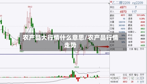 农产品大行情什么意思/农产品行情走势