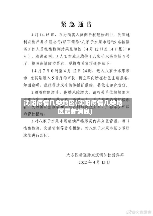 沈阳疫情几类地区(沈阳疫情几类地区最新消息)-第2张图片