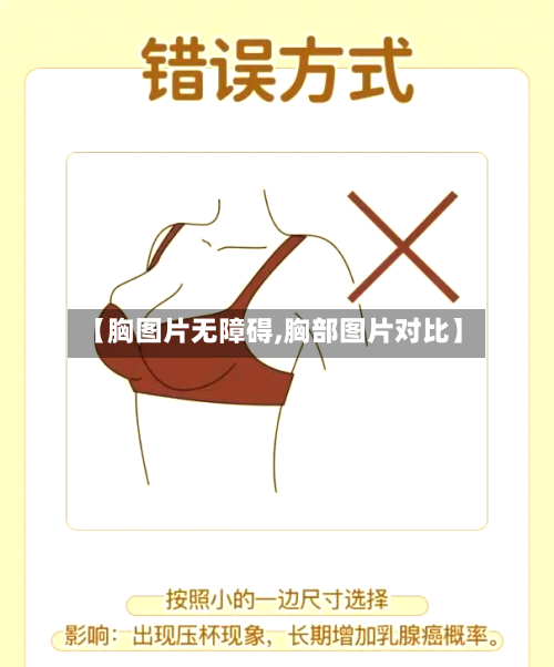 【胸图片无障碍,胸部图片对比】