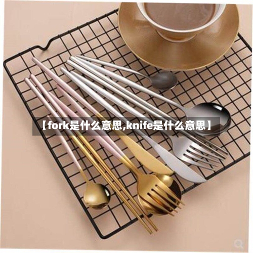 【fork是什么意思,knife是什么意思】-第3张图片