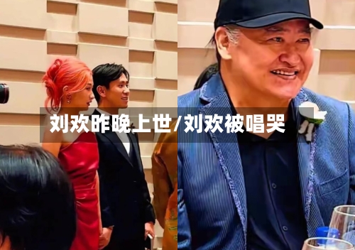 刘欢昨晚上世/刘欢被唱哭-第2张图片