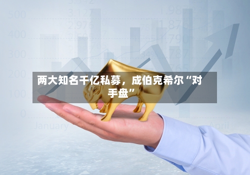 两大知名千亿私募	，成伯克希尔“对手盘”-第3张图片