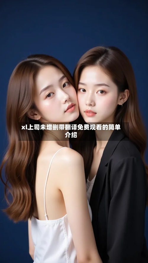 xl上司未增删带翻译免费观看的简单介绍