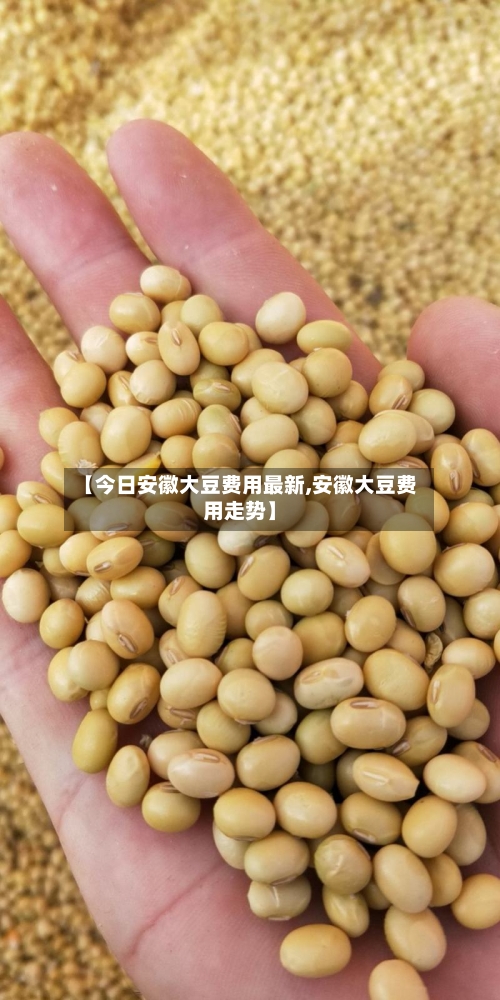 【今日安徽大豆费用最新,安徽大豆费用走势】