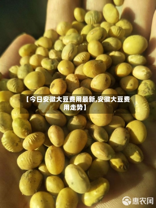 【今日安徽大豆费用最新,安徽大豆费用走势】-第3张图片