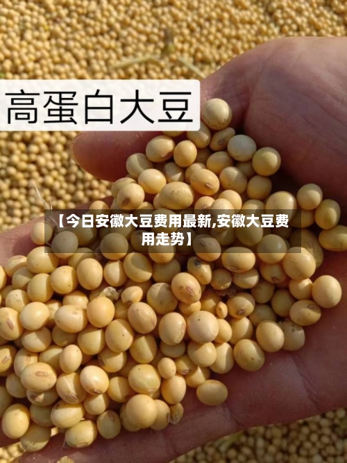 【今日安徽大豆费用最新,安徽大豆费用走势】-第2张图片