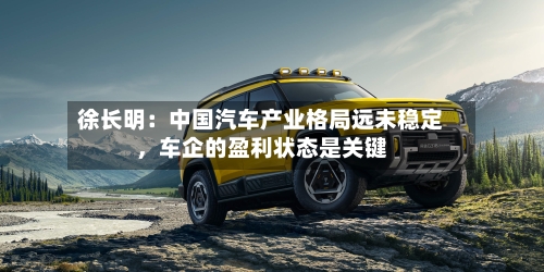 徐长明：中国汽车产业格局远未稳定，车企的盈利状态是关键