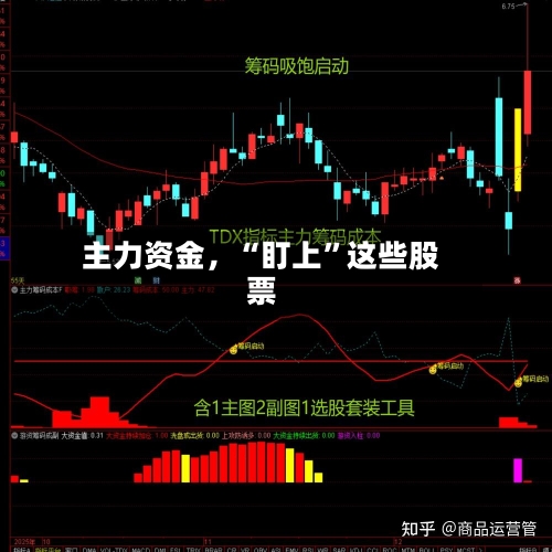 主力资金，“盯上”这些股票-第2张图片