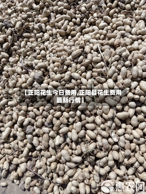 【正阳花生今日费用,正阳县花生费用最新行情】-第3张图片