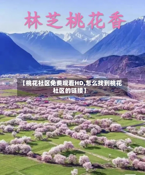 【桃花社区免费观看HD,怎么找到桃花社区的链接】-第2张图片