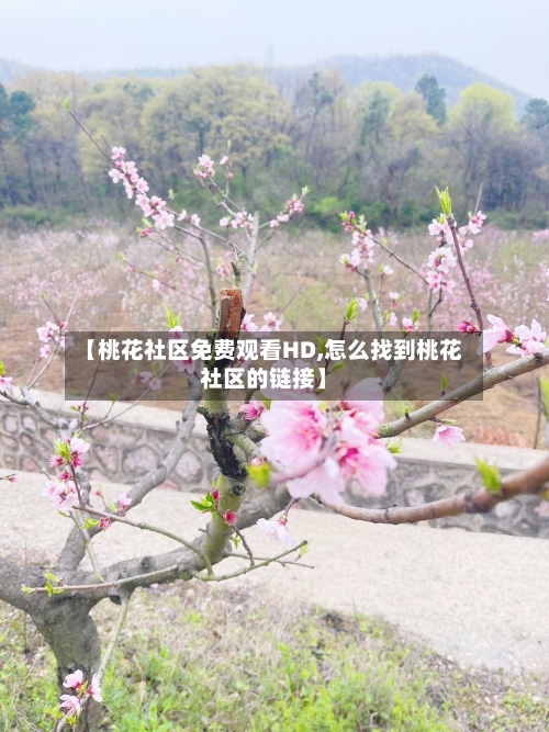 【桃花社区免费观看HD,怎么找到桃花社区的链接】