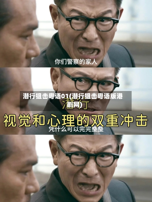 潜行狙击粤语01(潜行狙击粤语版港剧网)