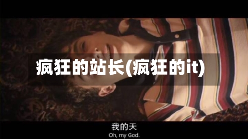 疯狂的站长(疯狂的it)