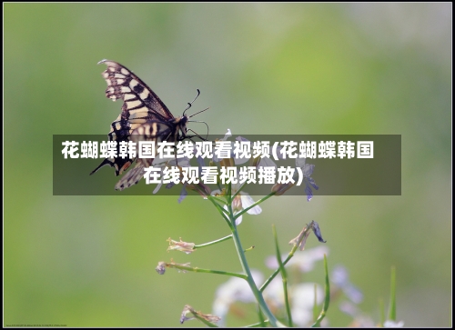 花蝴蝶韩国在线观看视频(花蝴蝶韩国在线观看视频播放)-第1张图片