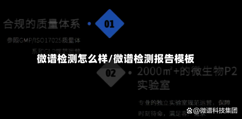 微谱检测怎么样/微谱检测报告模板