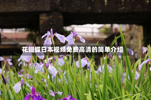 花蝴蝶日本视频免费高清的简单介绍-第2张图片