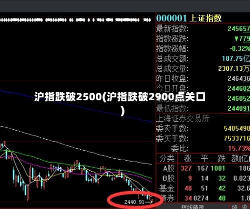 沪指跌破2500(沪指跌破2900点关口)-第1张图片