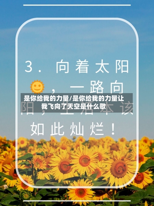 是你给我的力量/是你给我的力量让我飞向了天空是什么歌