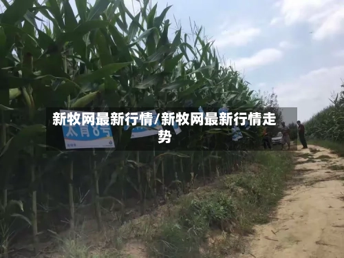 新牧网最新行情/新牧网最新行情走势-第2张图片