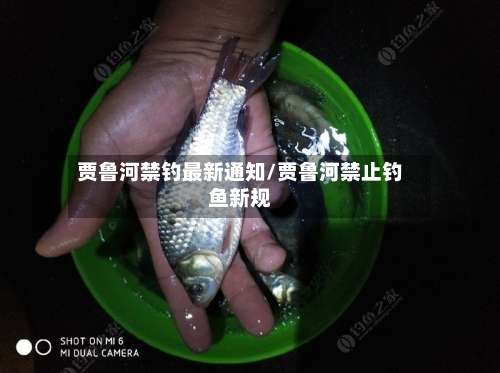 贾鲁河禁钓最新通知/贾鲁河禁止钓鱼新规